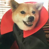 Rexqh