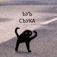 xrybtw