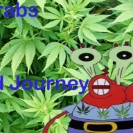 SkiddyOnP