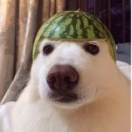 bigFellA