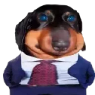 neverez