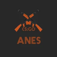 AnesZigo