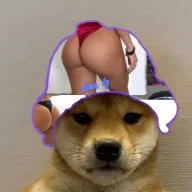 Bappo2336