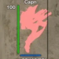 Capn