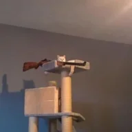 szkiddaj