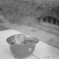 LilHappyLilSad