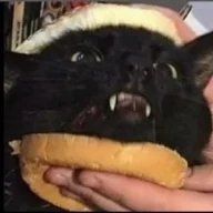cheetycheety
