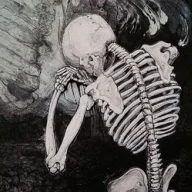 Newlyhvh