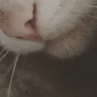 chuzhoff