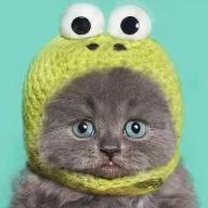 Cat95
