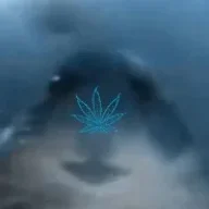 freecheatmaster