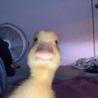 retard123