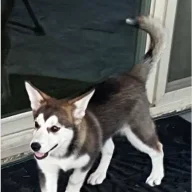 lunasdaughter