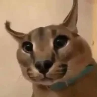 LyaGuShKaVampir