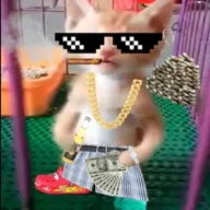 Lombradinho