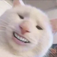 2746528521