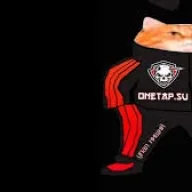 nisuoyi