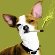 Stonerdog420