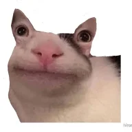 BinBizzy