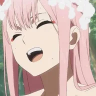 245070299