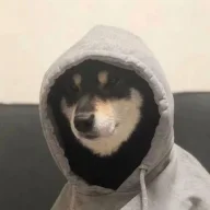 1017066183