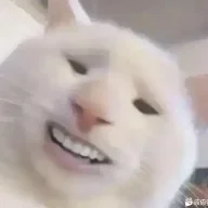 chihepiaodu