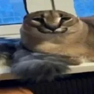 xboop