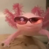 Nikitochka