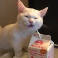 snortinshugarr