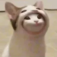 Feiikow