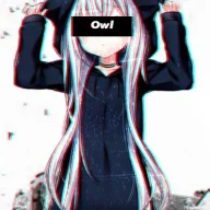 OntapOwl