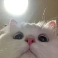 Tengag