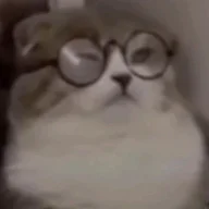 Barsuk007