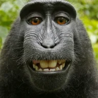selfpro69