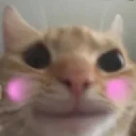 dennis02