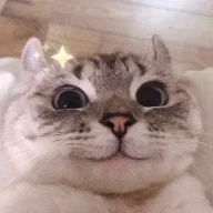 BOM