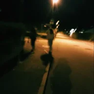 yolo1337