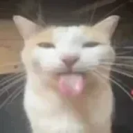 boowalker