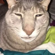 Twui
