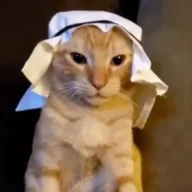 hvh3333