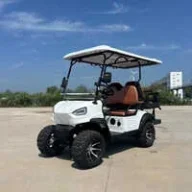 golfcardallas