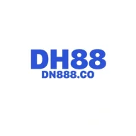 dn888co