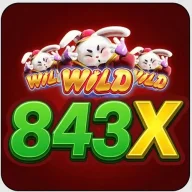 843xorg