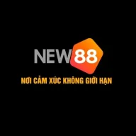 new882info3