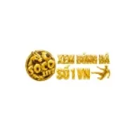 socolivezcc1