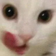 Pandyha