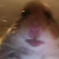 KissLevente
