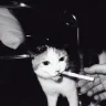 ollie