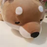 Doge