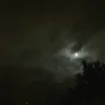 Scrolex